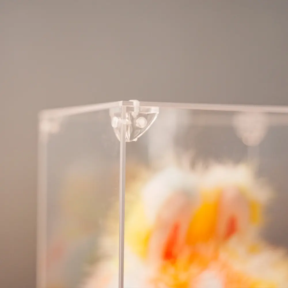 Display Case For Labubu - Image 5